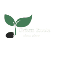 whatsapp image 2025 11 05 at 2.58.22 pm removebg preview